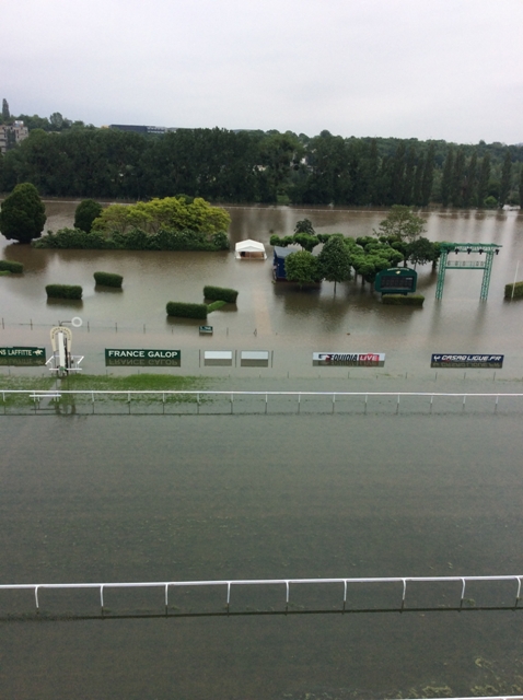 【競馬】[画像] フランスのセーヌ川が氾濫し競馬場が水没、ゴール板前を白鳥が通過。京都競馬場お株を奪われる