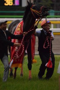 【競馬】ゴールドドリームがフェブラリーS勝ったらヒーロー列伝作られるわけだが 【競馬】ゴールドドリームがフェブラリーS勝ったらヒーロー列伝作られるわけだが