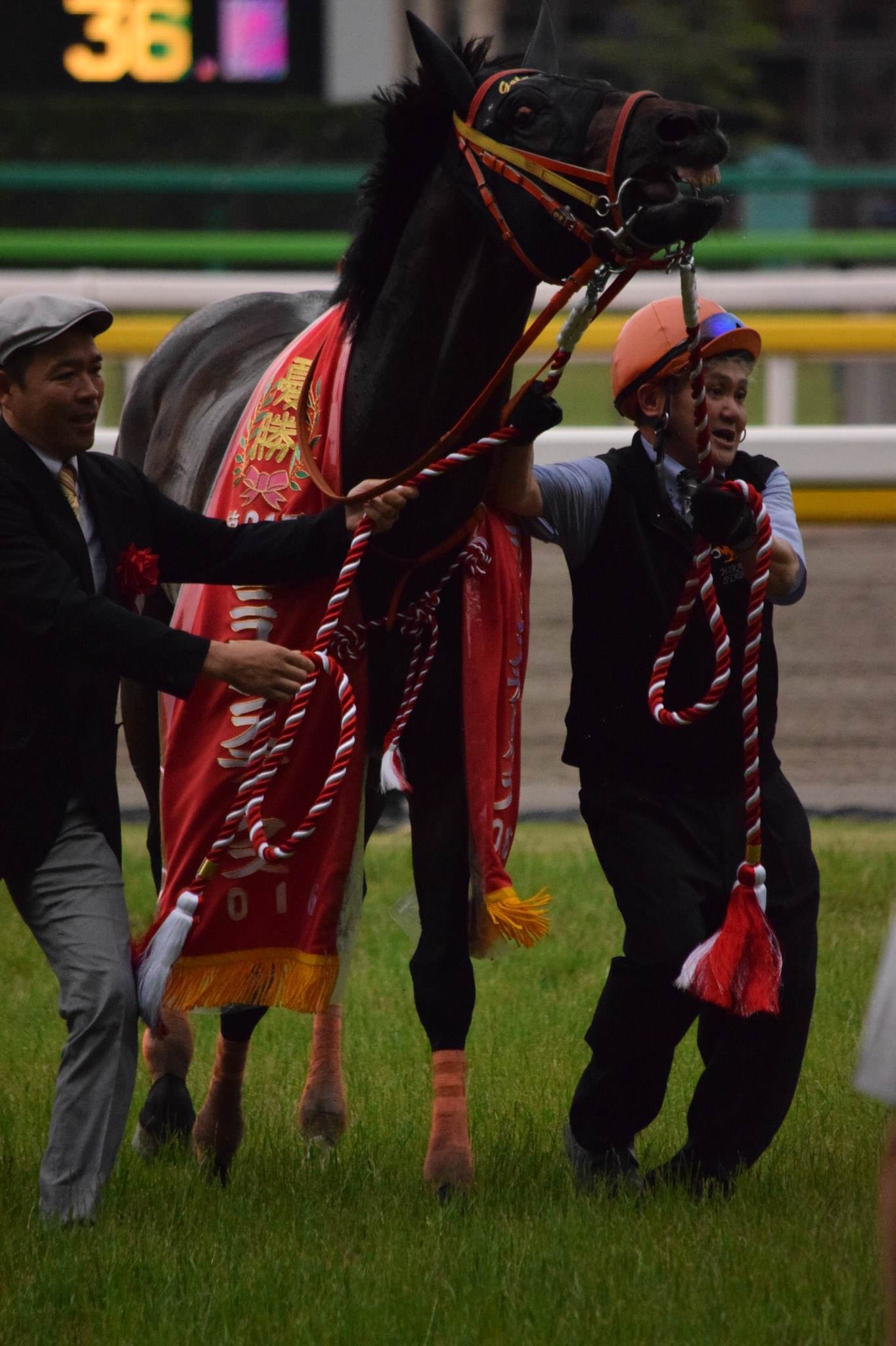 【競馬】ゴールドドリームがフェブラリーS勝ったらヒーロー列伝作られるわけだが