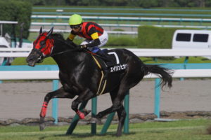 【競馬】[画像] なぜ生産者はエイシンヒカリを最初から芦毛と判別できたの？3歳時→現在