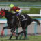 【競馬】[画像] なぜ生産者はエイシンヒカリを最初から芦毛と判別できたの？3歳時→現在