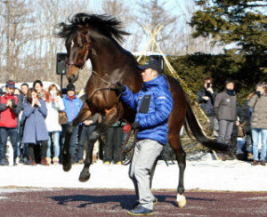【競馬】キタサンブラックはファンに大人気 ドゥラメンテは生産者に大人気