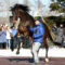 【競馬】キタサンブラックはファンに大人気 ドゥラメンテは生産者に大人気