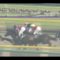 【競馬/フェブラリーS】テイエムジンソク古川騎手「クロフネの武蔵野Ｓをイメージしたんだよ。分かるでしょ？」