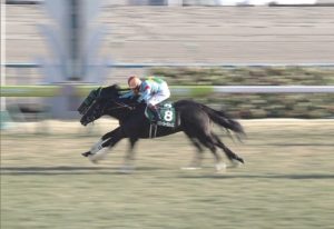 【競馬/東京新聞杯】里見治さん、サトノフェイバーで5年連続ダービー出走に間に合うｗｗｗｗｗｗｗ