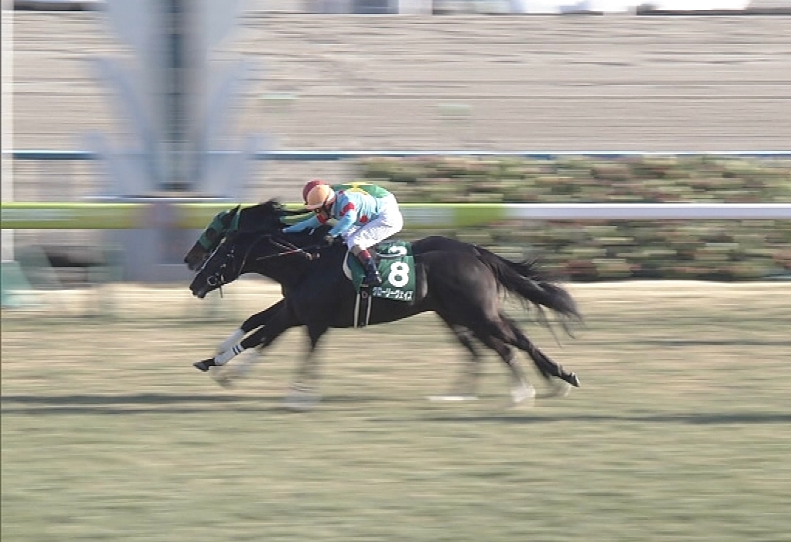 【競馬】きさらぎ賞を勝ったサトノフェイバー 引き続き鞍上古川騎手で皐月賞の前にスプリングＳへ