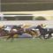 【競馬/皐月賞】皐月賞でキタノコマンドール買う奴って絶望的に馬券センスないよな？