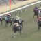 【競馬】悲報・・今まで散々福永を叩いてたnetkeibaのトロワゼトワル板、武豊叩き一色になる
