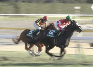 【競馬/クイーンC】ブエナビスタ娘ソシアルクラブ上がり最速w
