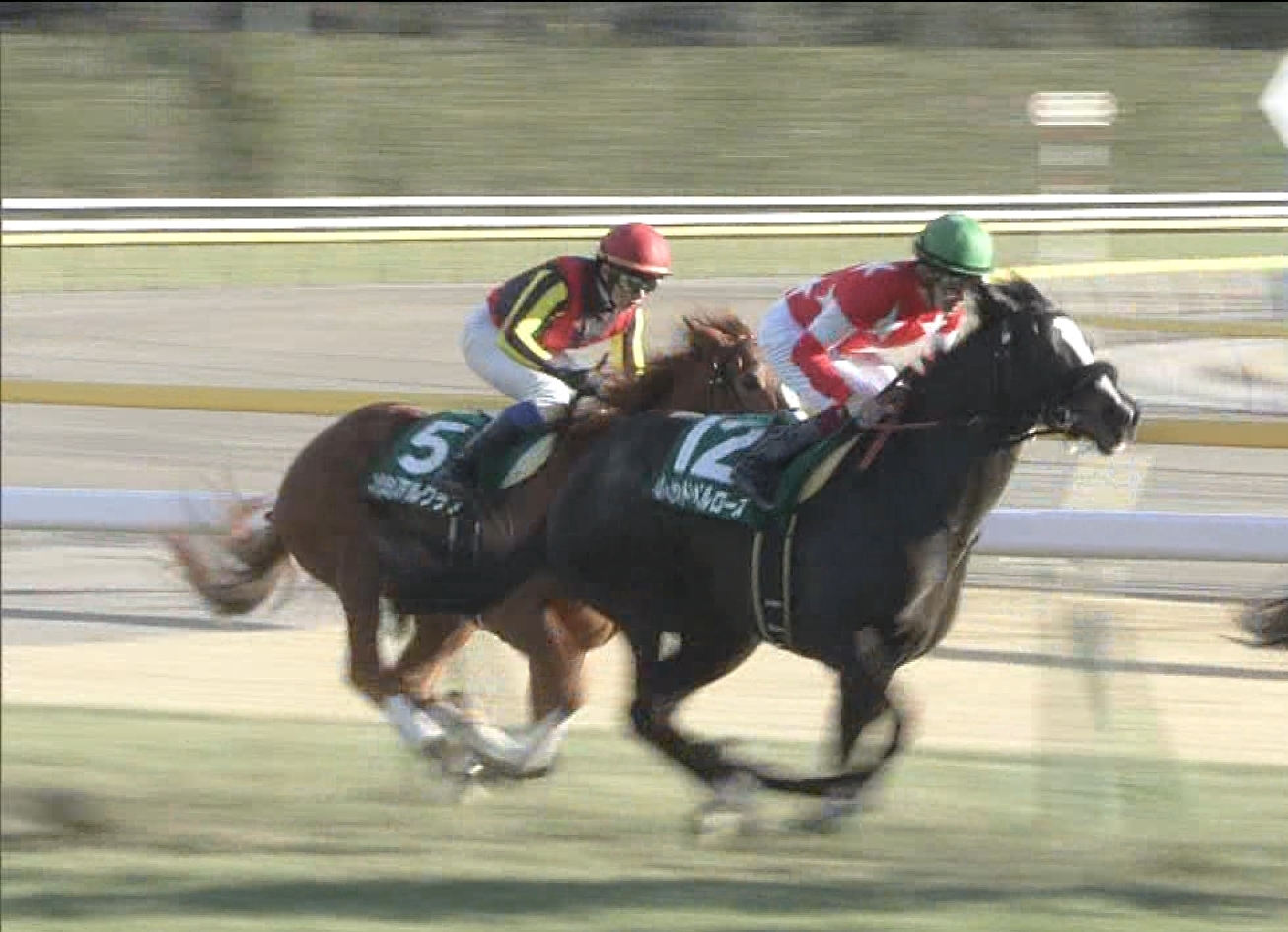 【競馬/クイーンC】ブエナビスタ娘ソシアルクラブ上がり最速w