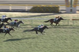【競馬】藤原厩舎の成績が凄すぎる件