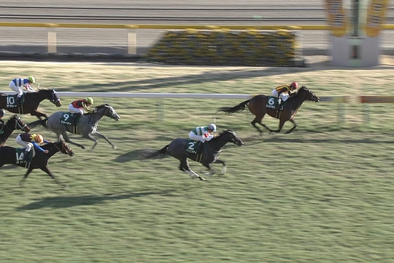 【競馬】中京スポーツ◎フィニフティ福永祐一wwww