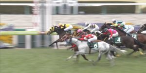 【競馬/阪急杯】レッドファルクス強くね？