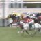 【競馬/阪急杯】ダイアナヘイロー武豊！福島師ラストを飾る絶妙逃げ上手すぎワロタｗｗｗｗｗ