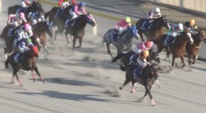 【競馬/フェブラリーS】12着テイエムジンソク古川「無駄に力が入ってるようだった」