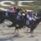 【競馬/フェブラリーS】三浦皇成またしても中央G1初制覇ならず・・・インカンテーション3着
