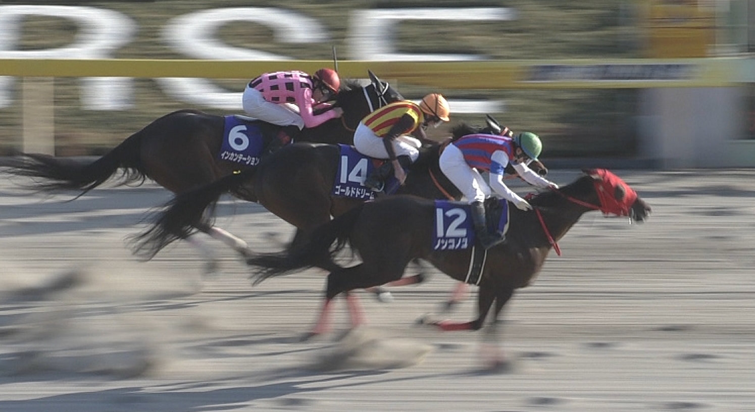 【競馬】2/17(日)フェブラリーステークスのメンツがマジヤバい件！