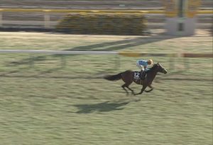 【競馬/毎日杯】ブラストワンピースがラチに強くぶつかっていた件