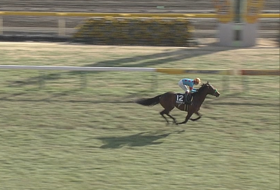 【競馬/毎日杯】ブラストワンピースがラチに強くぶつかっていた件