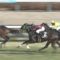 【競馬/中山金杯】タニノフランケル強すぎワロタwｗｗｗｗｗｗｗｗｗｗｗ