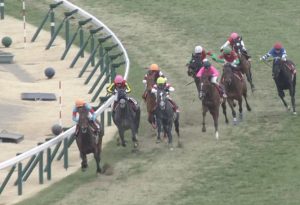【競馬/中山記念】2着マルターズアポジー(柴田善臣)を買えた理由を教えてくれ