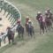 【競馬/中山記念】2着マルターズアポジー(柴田善臣)を買えた理由を教えてくれ