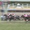 【競馬/大阪杯】ウインブライトのウインブってなに？