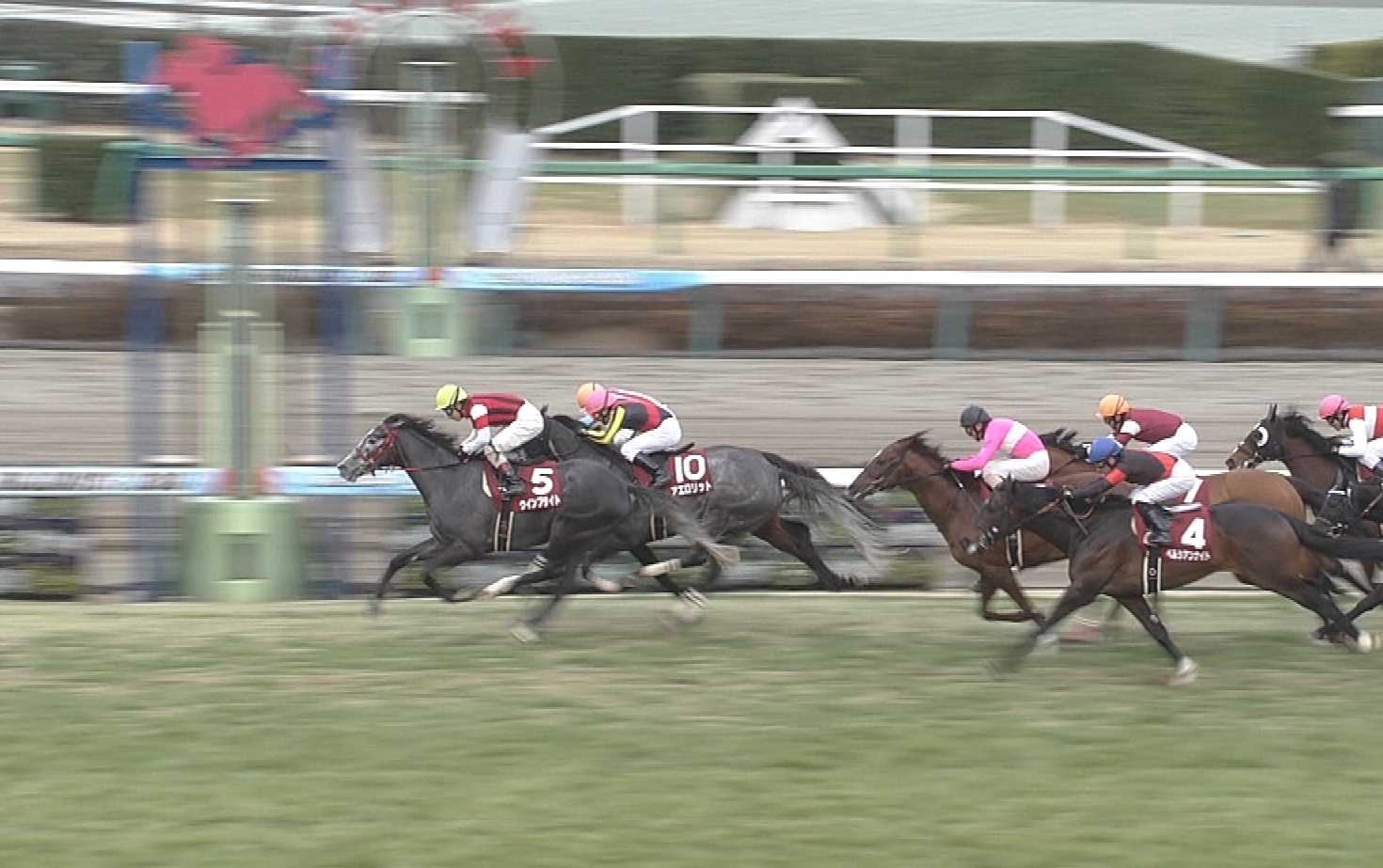 【競馬/中山記念】だから何で今回もウインブライトを軽視したんだよw