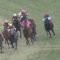 【競馬/中山記念】デムーロ皐月ドゥラメンテ級の大外ぶん回し糞騎乗でペルシアンナイトを飛ばす