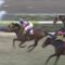 【競馬/凱旋門賞】クリンチャーが2番人気ｗｗｗｗｗｗｗｗｗ