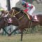 【競馬】宝塚記念はサドラー持ちの東京で好走できなかった馬買っとけよ