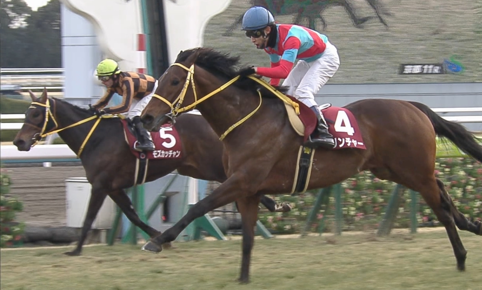 【競馬/阪神大賞典】実際のところ、今のクリンチャーって過去の馬でいうとどのぐらいの強さなの？
