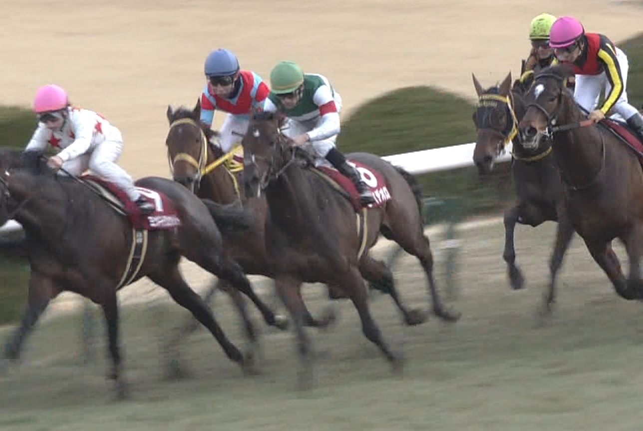 【競馬】レイデオロ、かかり癖がついて終了