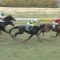 【競馬/共同通信杯】オウケンムーン　父オウケンブルースリｗｗｗｗｗｗｗｗｗ