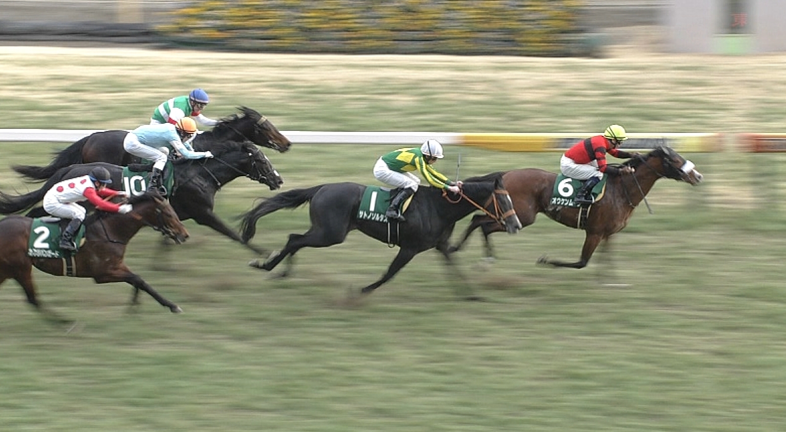 【競馬/共同通信杯】オウケンムーン　父オウケンブルースリｗｗｗｗｗｗｗｗｗ