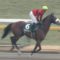【競馬】ディープスカイ産駒とオウケンブルースリ産駒重賞同日制覇www