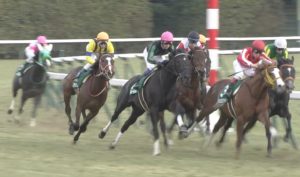【競馬/共同通信杯】7着グレイル武豊「ラストが全く伸びなかった。現時点では明確な要因はない。」 【競馬/共同通信杯】7着グレイル武豊「ラストが全く伸びなかった。現時点では明確な要因はない。」