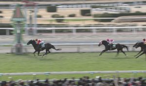 【競馬/小倉大賞典】トリオンフこれG1級の馬だろ