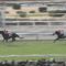 【競馬/大阪杯】トリオンフの不安材料