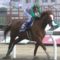 【競馬/フェブラリーS】福永がまた名言！ケイティブレイブ「ひと皮むけたというより、限界を超えたような感じ」