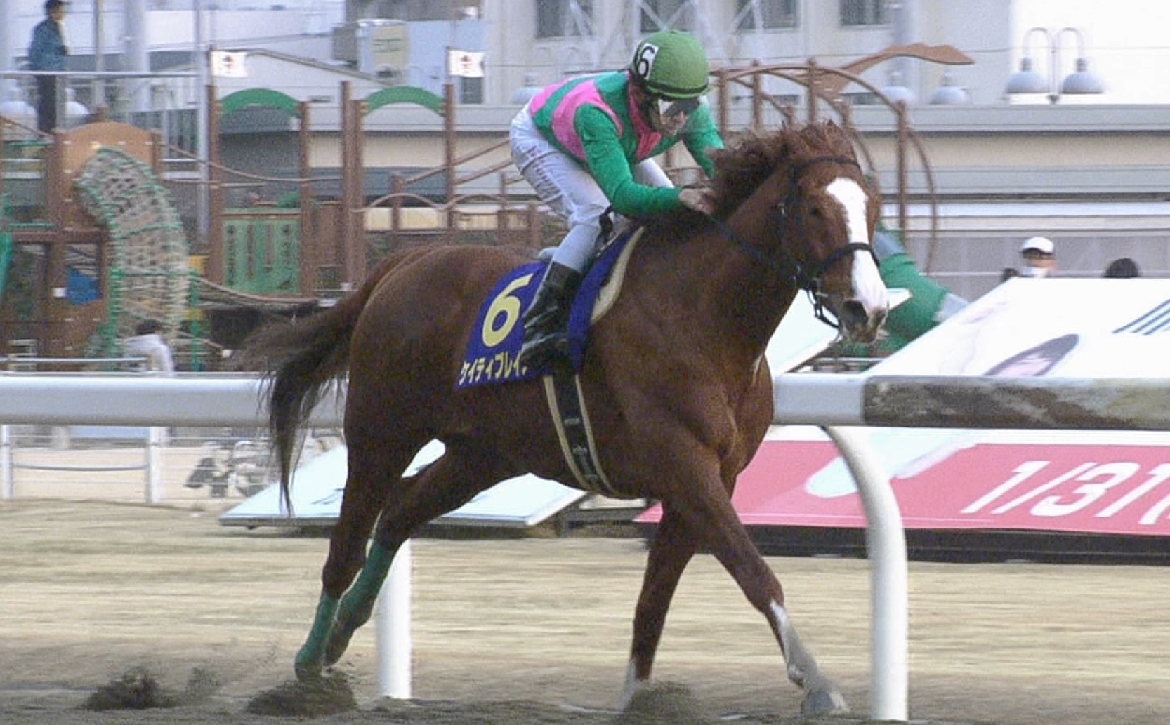 【競馬】ドバイWC出走回避のケイティブレイブ、ドバイで緊急開腹手術するほどの重症だった…。