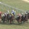【競馬】2018年3連単荒れなさすぎだろ・・・