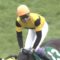 【競馬】武豊とか横山典が上手くなってきてる件