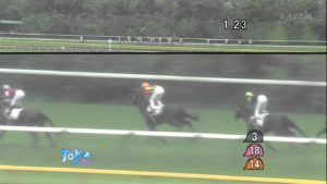 【競馬】オルフェーヴルってどうしてダービー1倍代にならなかったの？