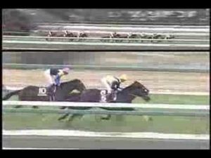 【競馬】2005年のディープの弥生賞の後ってどういう評価だったの？