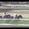 【競馬】2005年のディープの弥生賞の後ってどういう評価だったの？