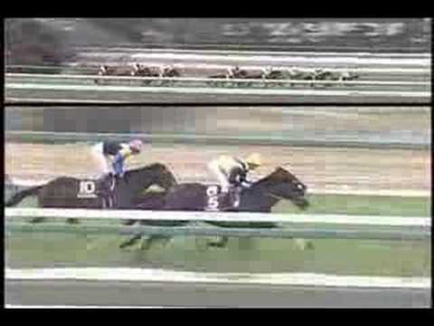 【競馬】2005年のディープの弥生賞の後ってどういう評価だったの？