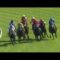【海外競馬】豪州の名牝ウィンクスが26連勝で記録更新