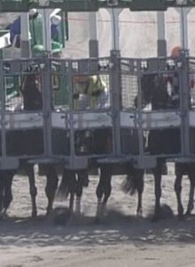 【競馬】[動画] ミナリク　サノノカガヤキに垂直落下ブレーンバスターを食らう
