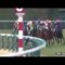 【競馬/弥生賞】少頭数で福永でも詰まりようがないワグネリアン確勝